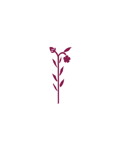 Vlasbloem Grembergen | Glittertattoo Stencil
